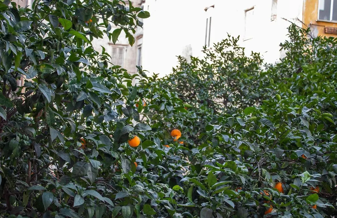Le Stanze Del Vicere Boutique Hotel-1